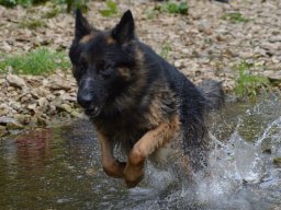 01.07.2023 offenes training 28